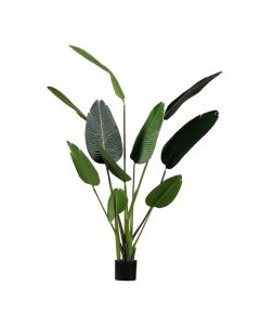 WOOOD Strelitzia kunstplant groen 164 cm vrijstaand op witte achtergrond