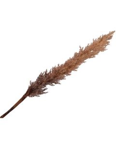 Trendhopper Kunstbloem Graspluim Beige Groot