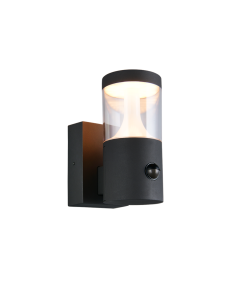 Buitenwandlamp Tagus met bewegingssensor in antraciet uitgevoerd in gegoten aluminium met transparante kap en ge&iuml;ntegreerde ledverlichting