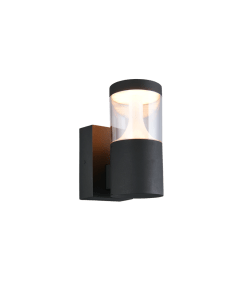 Buitenwandlamp Tagus in antraciet uitgevoerd in gegoten aluminium met transparante kap en ge&iuml;ntegreerde ledverlichting