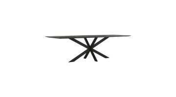 DTP Home Eetkamertafel Timeless Black Curves