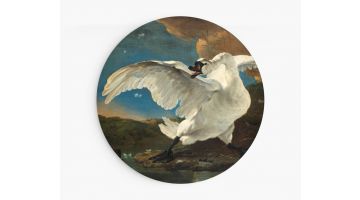 EasyCanvas Wandcirkel Bedreigde Zwaan