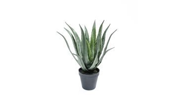 Coolplant Kunstplant Aloë Vera 36 cm