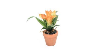 Coolplant Kunstplant Guzmania Oranje 18 cm
