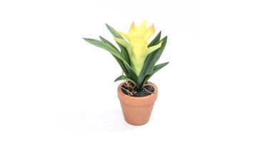 Coolplant Kunstplant Guzmania Geel 18 cm