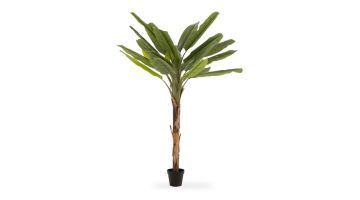 J-Line Bananenboom Plastic Groen-Bruin