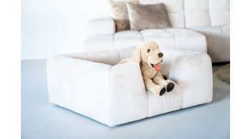 SEVN Cat en Dogs Mand Veronique