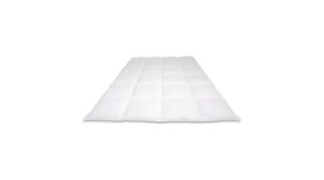 Cassenz Dekbed Picasso Ganzendons Voor / Najaar