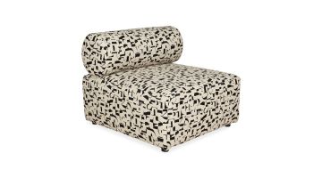 1.5-Zits Caviana Dessin