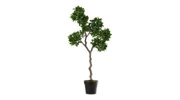 Kunstboom Chinese vijg (Ficus) in een zwarte kunststof pot met sierlijke gedraaide stam en volle groene bladeren.