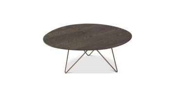  Dyyk salontafel Zizou met rond donker houten blad en slank metalen onderstel.