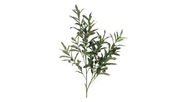 ISAA Olive Branch Flexa 101 cm, kunsttak met olijfgroene bladeren en kleine groene en donkerbruine olijven tegen een witte achtergrond.