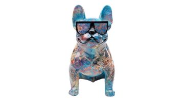 Beeld van een kleurrijke hond met zwarte zonnebril, recht van voren gefotografeerd.