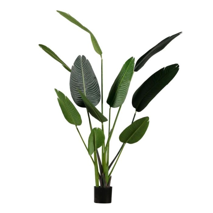 WOOOD Strelitzia kunstplant groen 164 cm vrijstaand op witte achtergrond