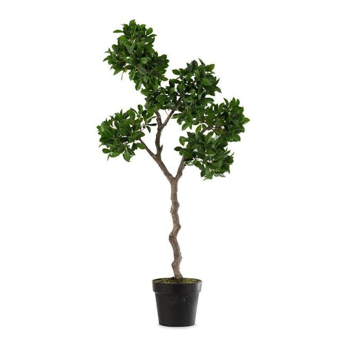 Kunstboom Chinese vijg (Ficus) in een zwarte kunststof pot met sierlijke gedraaide stam en volle groene bladeren.