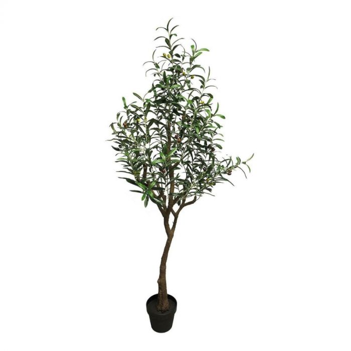 ISAA Olijfboom Charlotte 150 cm, realistische kunstboom met groene bladeren en olijven in een zwarte pot tegen een witte achtergrond.