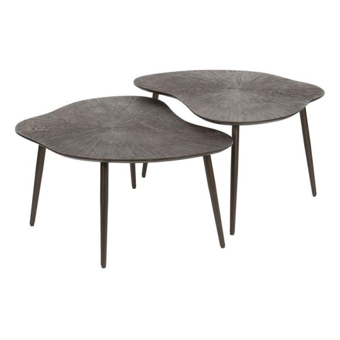 Set van twee organische Brown Ray salontafels in donkerbruin brons op witte achtergrond