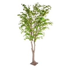 Coolplant Kunstboom Ficus 400 cm