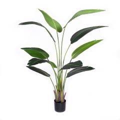Coolplant Kunstplant Strelitzia 160cm