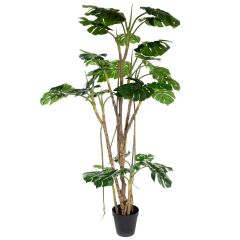 ​Coolplant Kunstplant Monstera 240 cm