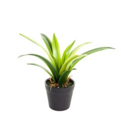 Coolplant Kunstplant Mini Maguey Agave
