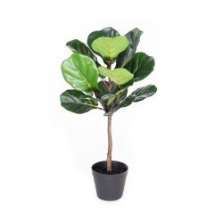 Coolplant Kunstplant Ficus Lyrata 60 cm