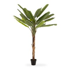 J-Line Bananenboom Plastic Groen-Bruin