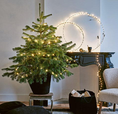 Waarschuwing Zweet Interpreteren 10 stylingtips kerstboom