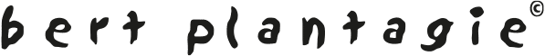 Bert Plantagie