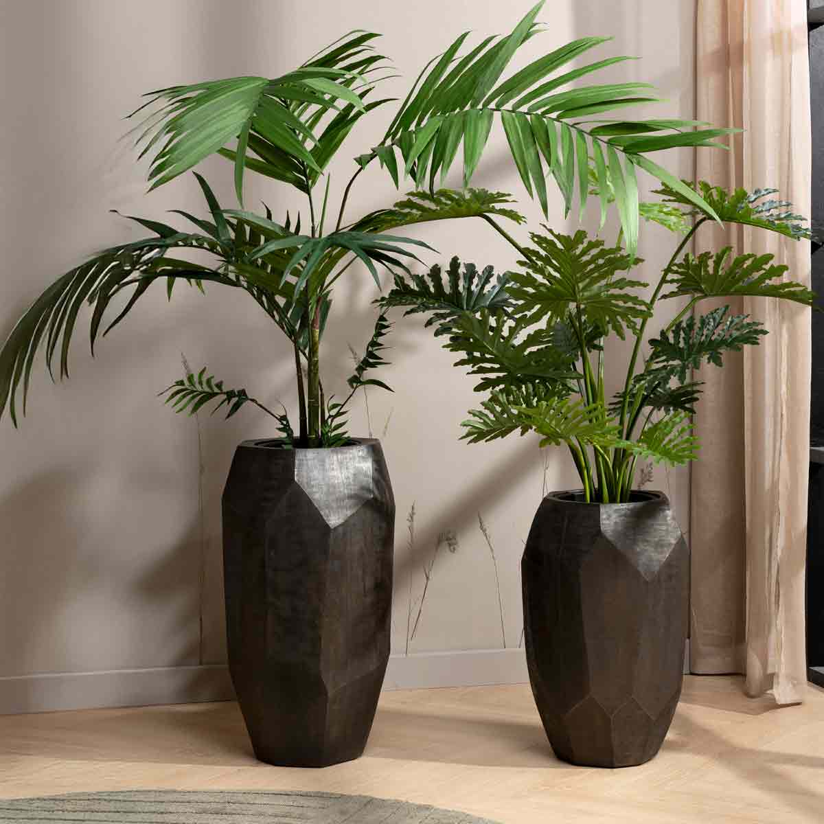 twee groene planten met zwarte vazen