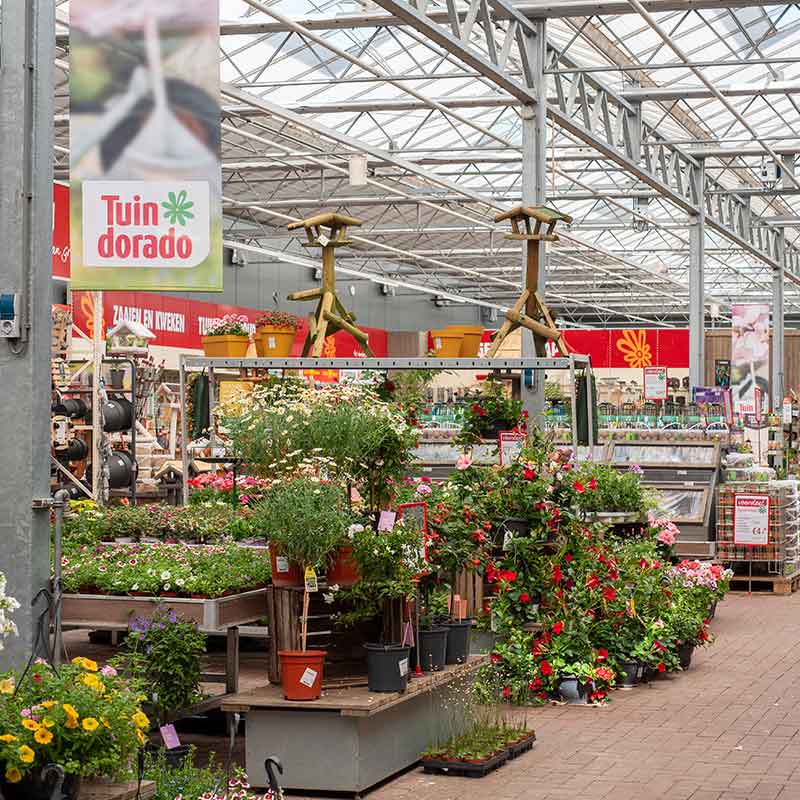 Bloemen en planten in het pand van Tuindorado in Wolvega